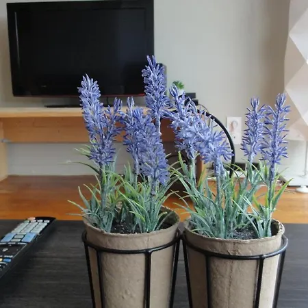 La Dolce -t2 52m2- Dernier Etage- Terrasse-parking-wifi Fibre * Tarbes