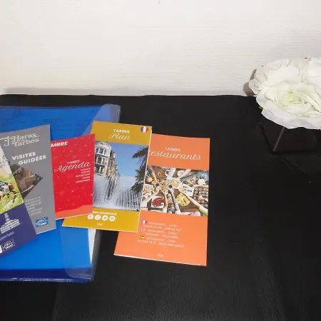 La Dolce -t2 52m2- Dernier Etage- Terrasse-parking-wifi Fibre Tarbes